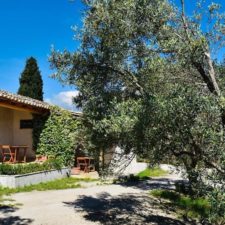 La Casa Del Cancello Di Borgo Carbone Locri Dış mekan fotoğraf